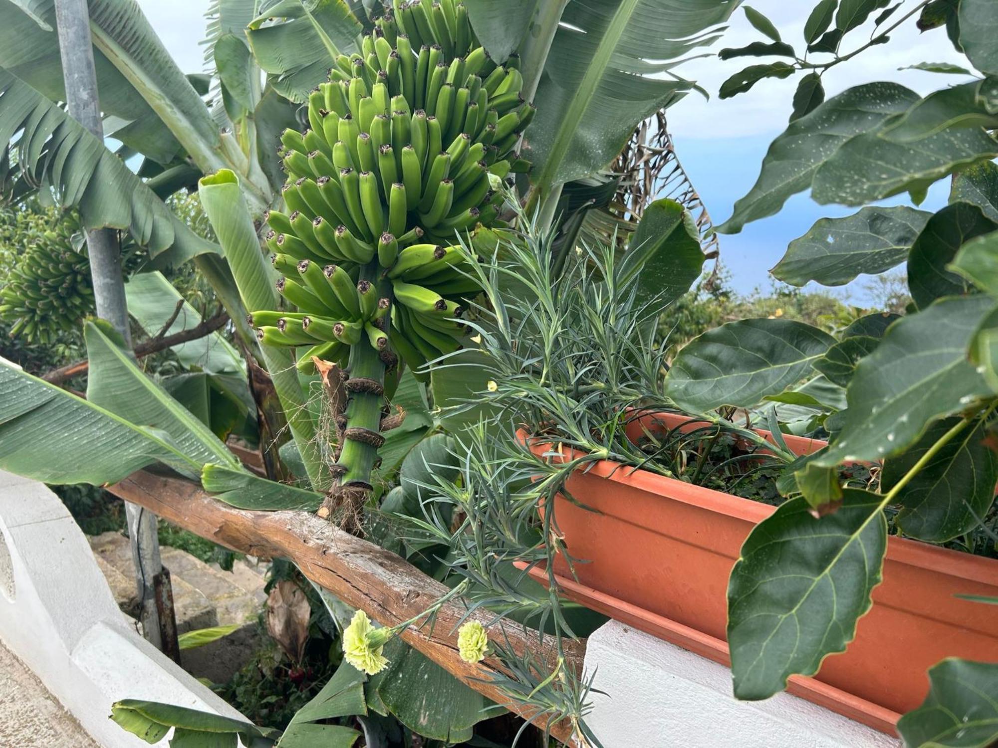 Casa Rural Los Barros Genovés Εξωτερικό φωτογραφία
