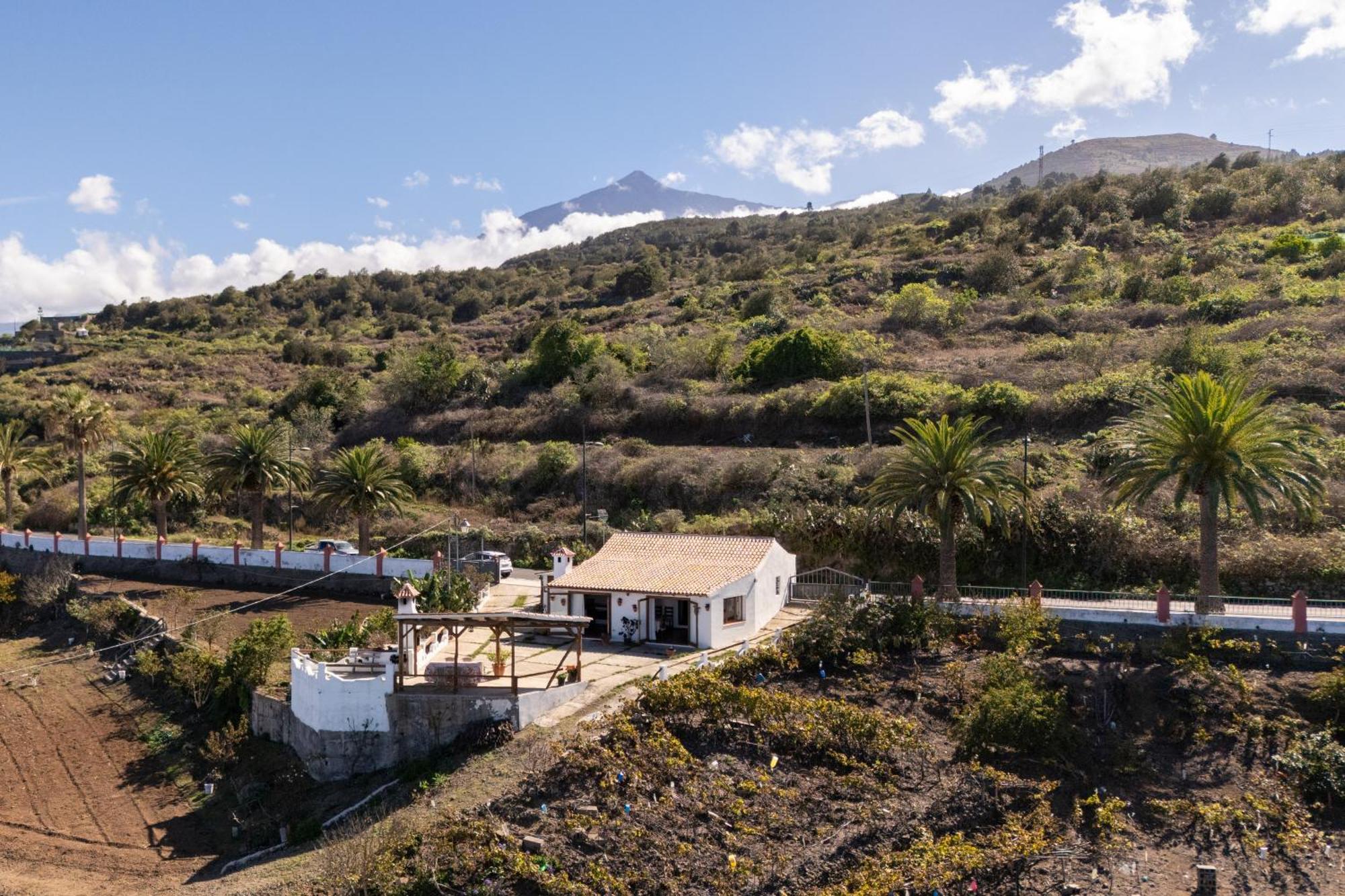 Casa Rural Los Barros Genovés Εξωτερικό φωτογραφία